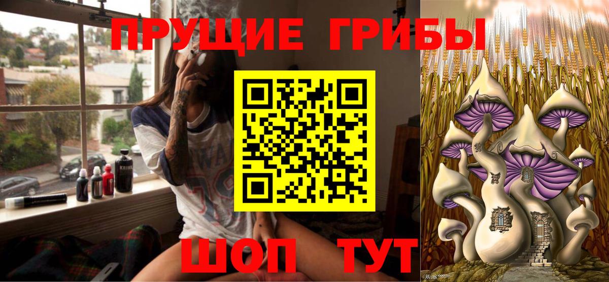 Псилоцибиновые грибы прущие грибы  Псилоцибиновые грибы мицелий  Котельники  Вход с VPN 