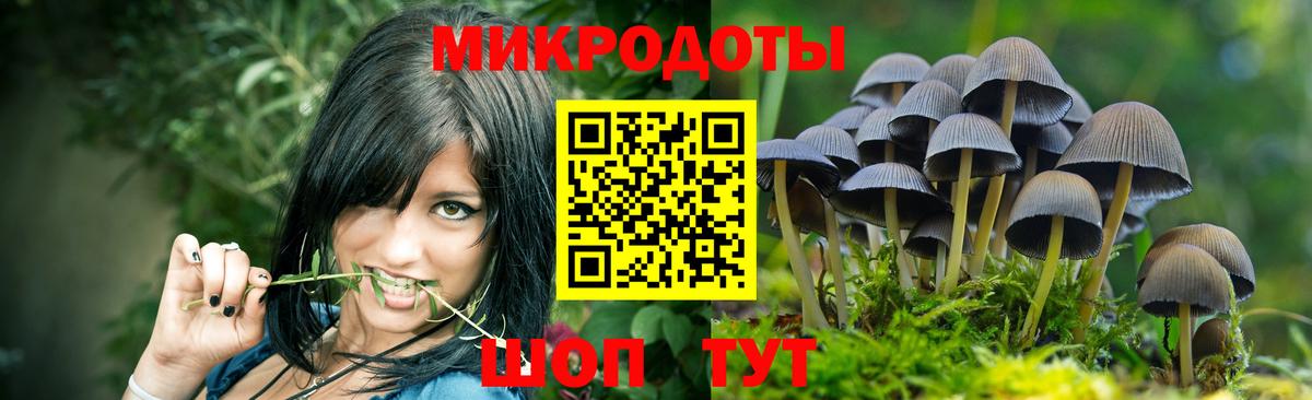 Псилоцибиновые грибы мицелий Котельники