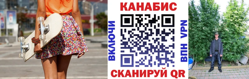 Конопля семена  где купить наркотик  omg зеркало  Котельники 